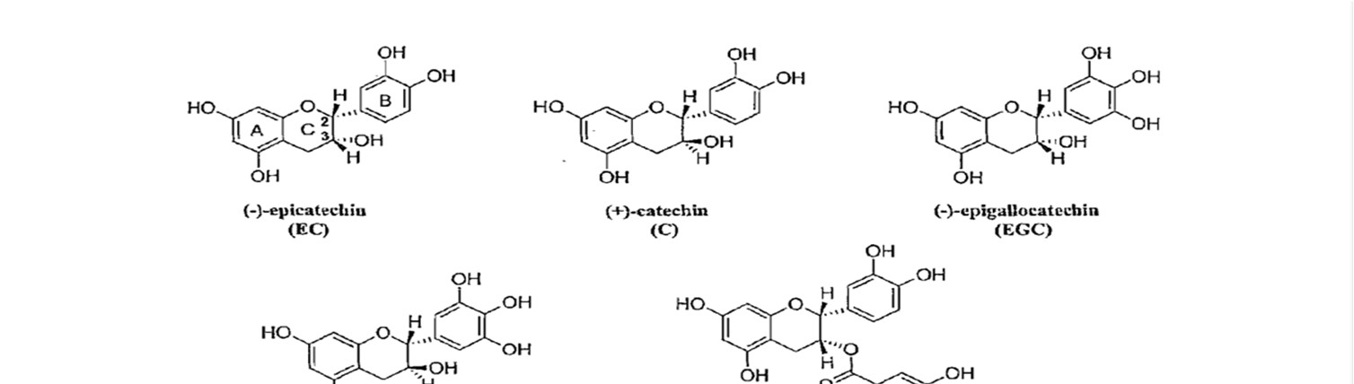 Catechin chemical structures found in green tea