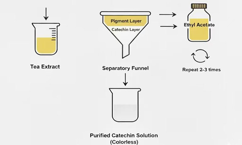 Separation funnel removing pigments from tea extract